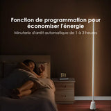 Lampadaire d'ambiance oraimo CornerGlow