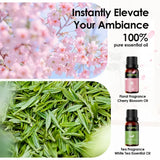 Diffuseur d'aromathérapie mural sans eau oraimo AromaGlow